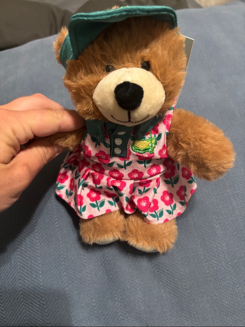 Masters Brown Bear Plush in Pink Floral Dress with Teal Cap